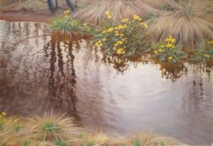 Buttercups