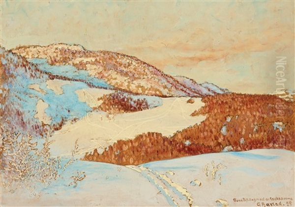 Ski Tracks On The Mountain - view 1