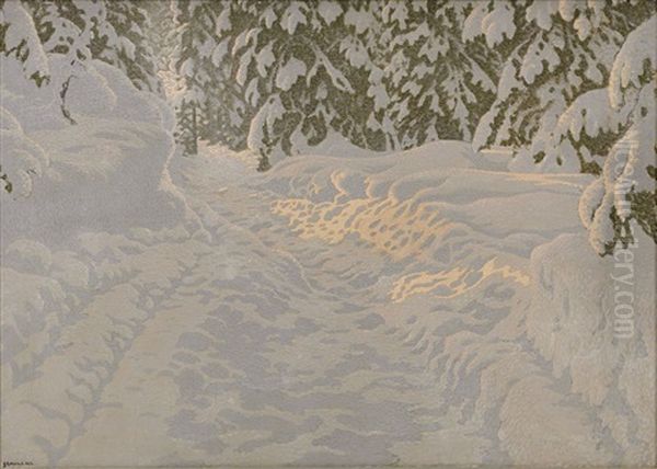 Soleffekt I Snotyngd Skog - view 1