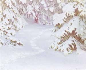 Vinterlandskap Med Snotyngda Granar