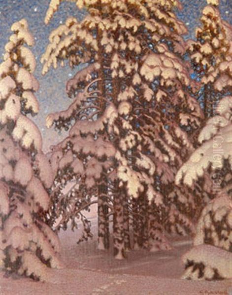 Vinternatt I Skogen - view 1