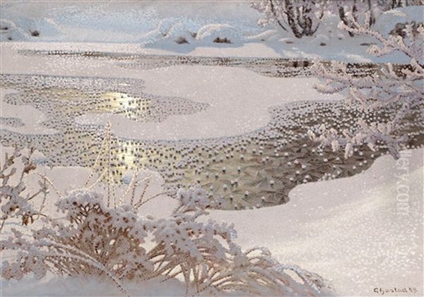 Rimfrost Pa Frusen Sjo - view 1