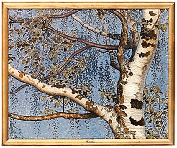 Varbjork - view 1