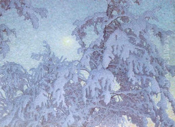 Gnistrande Vinternatt - view 1