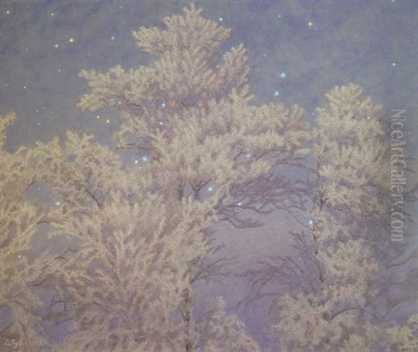 Hoar Frost And Stars - view 1