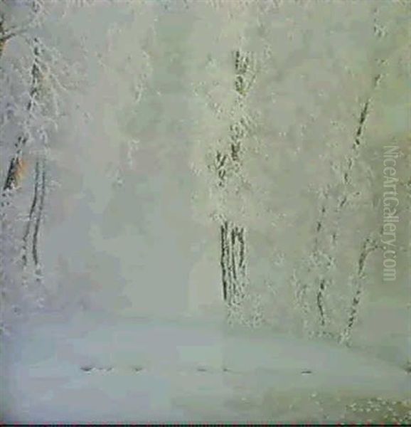 Bjorkar I Rimfrost - view 1
