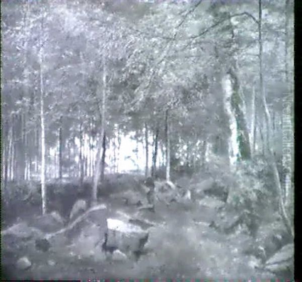 Die Alte Holzsammlerin - view 1