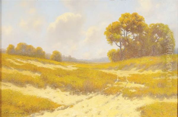 The Sandy Road - view 1