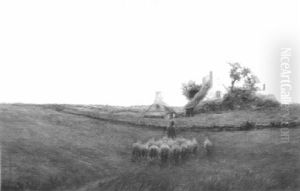 Sheep Grazing By The Coast Sheep Grazing By The Coast
