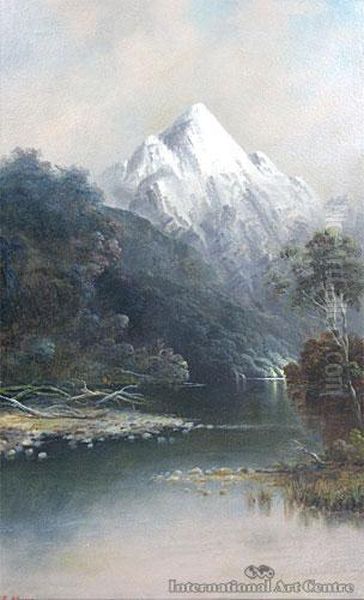 Doubtful Sound - view 1