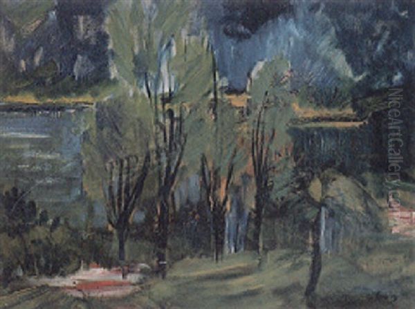 Landschaft Bei Unteruhldingen - view 1