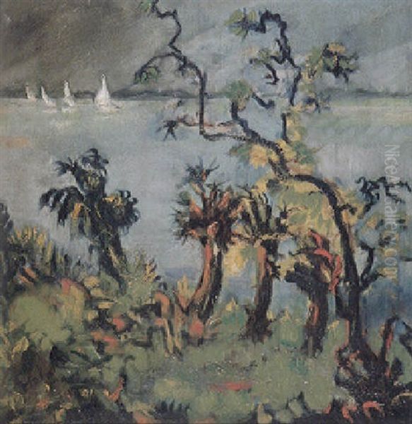 Segelschiffe Auf Dem Bodensee - view 1