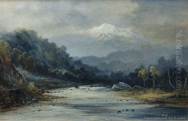 South Island River - view 1