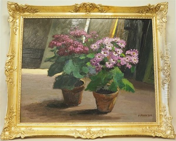 Deux Pots De Geraniums Dans L"atelier - view 1