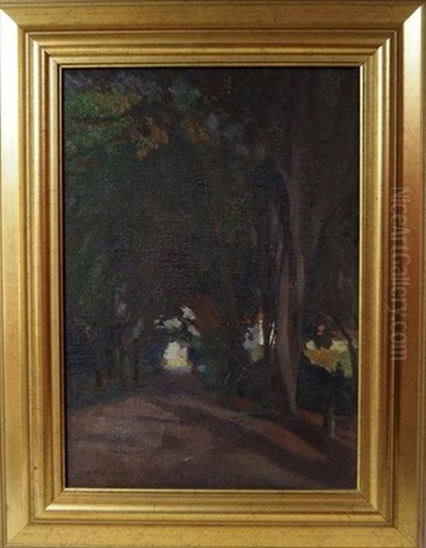 Effets De Lumiere Dans Une Allee D'arbres - view 1