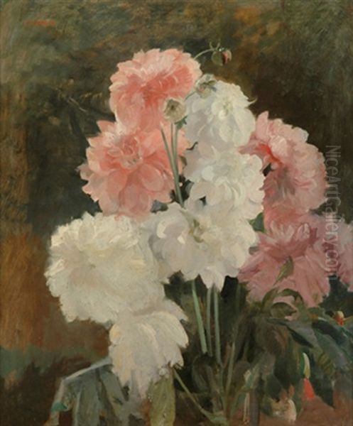 Still Life In Pink And White - view 1