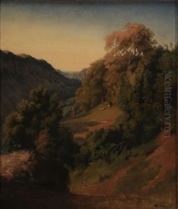 View Of A Ravine