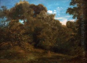 Arbres Fruitiers Dans Une Clairiere Arbres Fruitiers Dans Une Clairiere