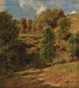 Weite Sommerlandschaft Weite Sommerlandschaft