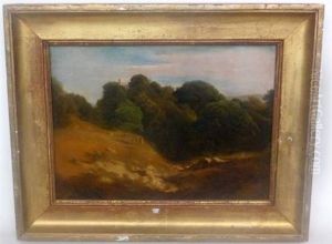 Paysage : La Gassaude Paysage : La Gassaude