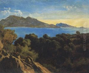 Vue De Montredon, Pres De Marseille