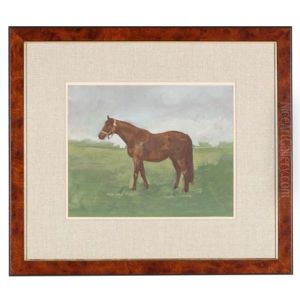 Rock Sand Mare