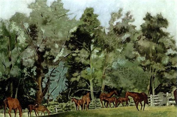 Broodmares And Foals, Lexington, Kentucky - view 1