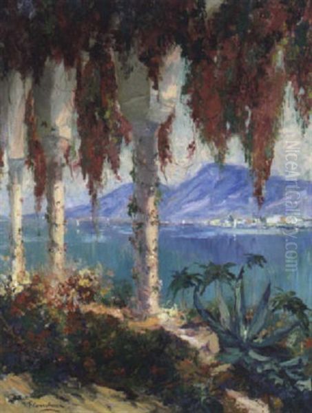 Cap Ferrat / Cote D'azur - view 1