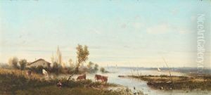 Vaches En Bord De Mer Vaches En Bord De Mer