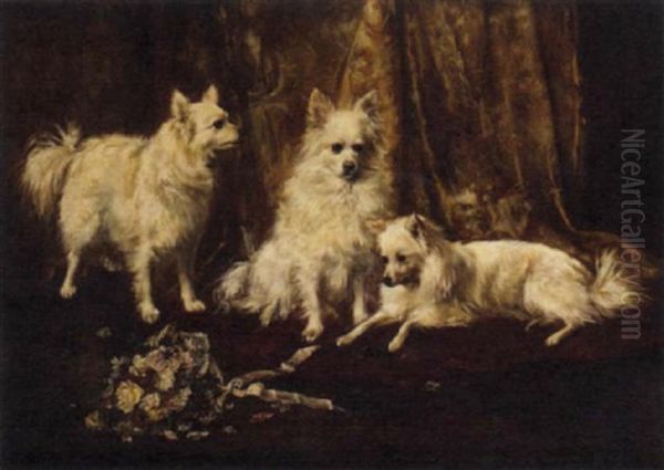 Three Pomeranians In An Elegant Interior - view 1