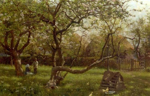 In The Orchard - view 1