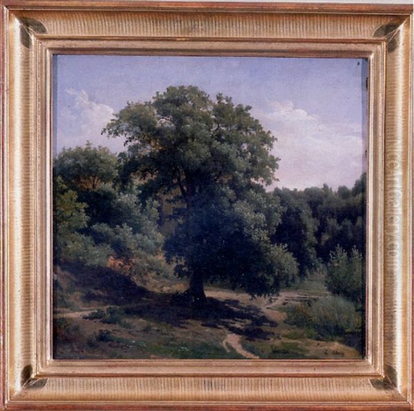 View Of A Forest Path, Fontainebleau - view 1
