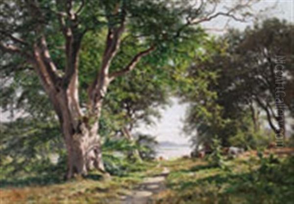 An Airy Summer Landscape - view 1