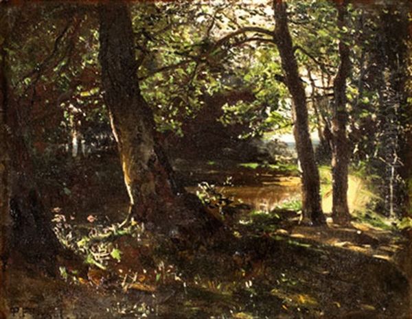 Waldlichtung Im Dars - view 1