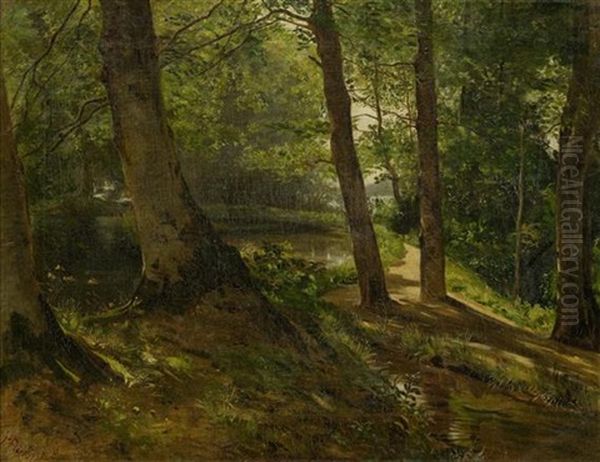 Waldlandschaft Mit See - view 1