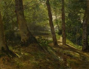Waldlandschaft Mit See Waldlandschaft Mit See