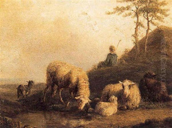 Herder Met Zijn Schapen - view 1