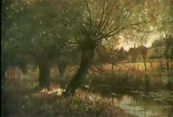 Weide Am Bach - view 1