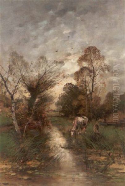 Kuh Und Schaf Am Bachlauf - view 1