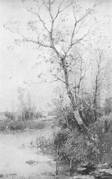 Autumn Marsh Landscape - view 1