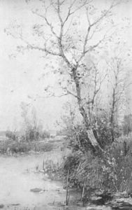 Autumn Marsh Landscape
