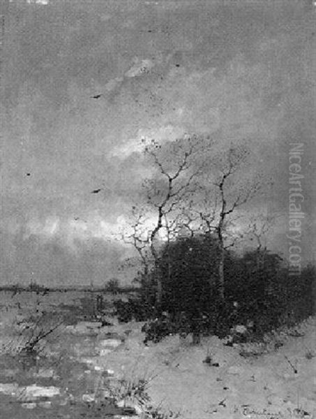 Winterabend Am Niederrhein - view 1
