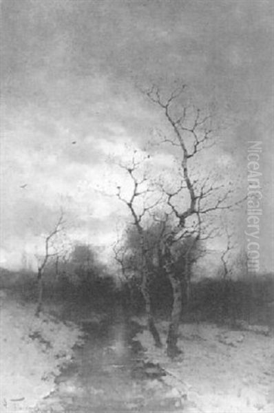 Bachlauf Im Winter - view 1