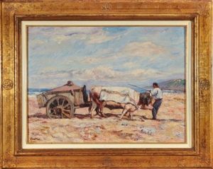 Attelage Aux Boeufs Sur La Plage Devant Bidart