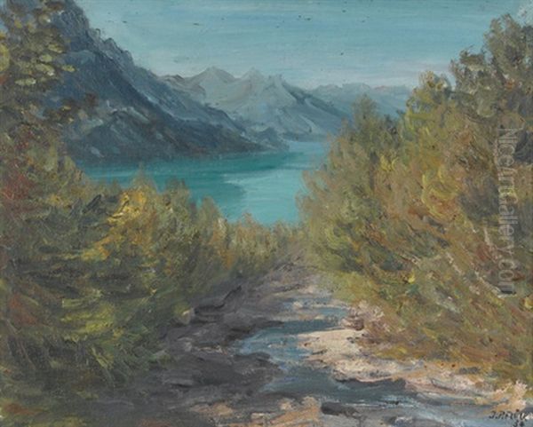 Blick Auf Den Brienzersee - view 1
