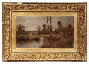 Florida Wetlands by Harry Davis Fluhart-Williams