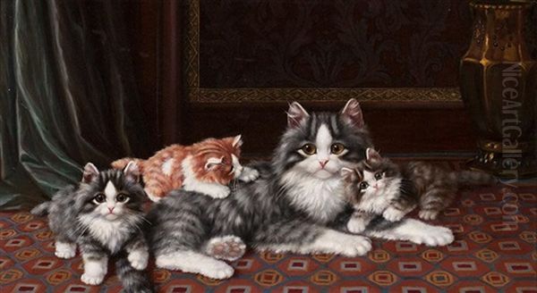 Gatos - view 1