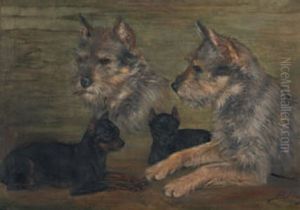 Hunde (pinscher Und Terrier) by Burkhard Flury