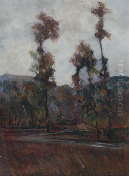 Paesaggio - view 1