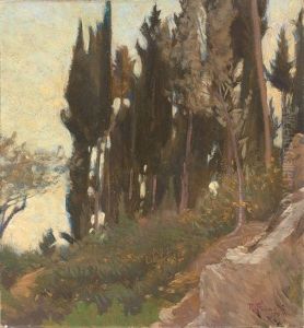 Cipressi A Monte Morello